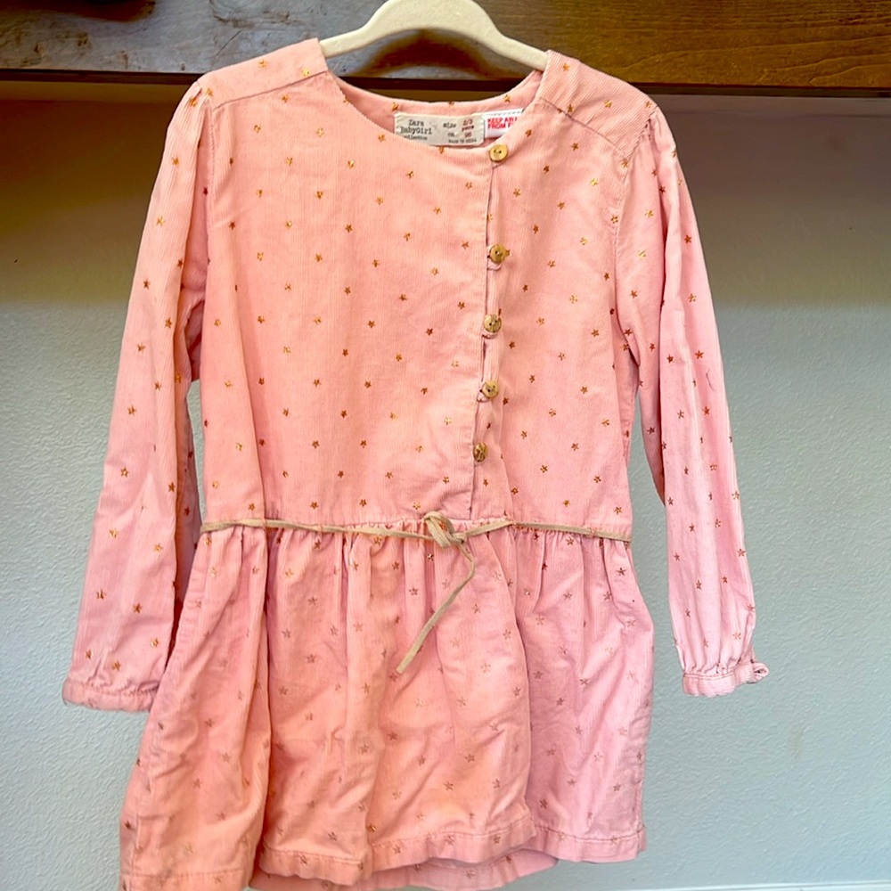 Zara dress